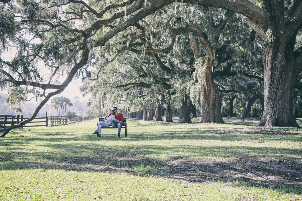 a young couple sitting next to the famous Avenue of Oaks in Boone Hall Plantation in Charleston