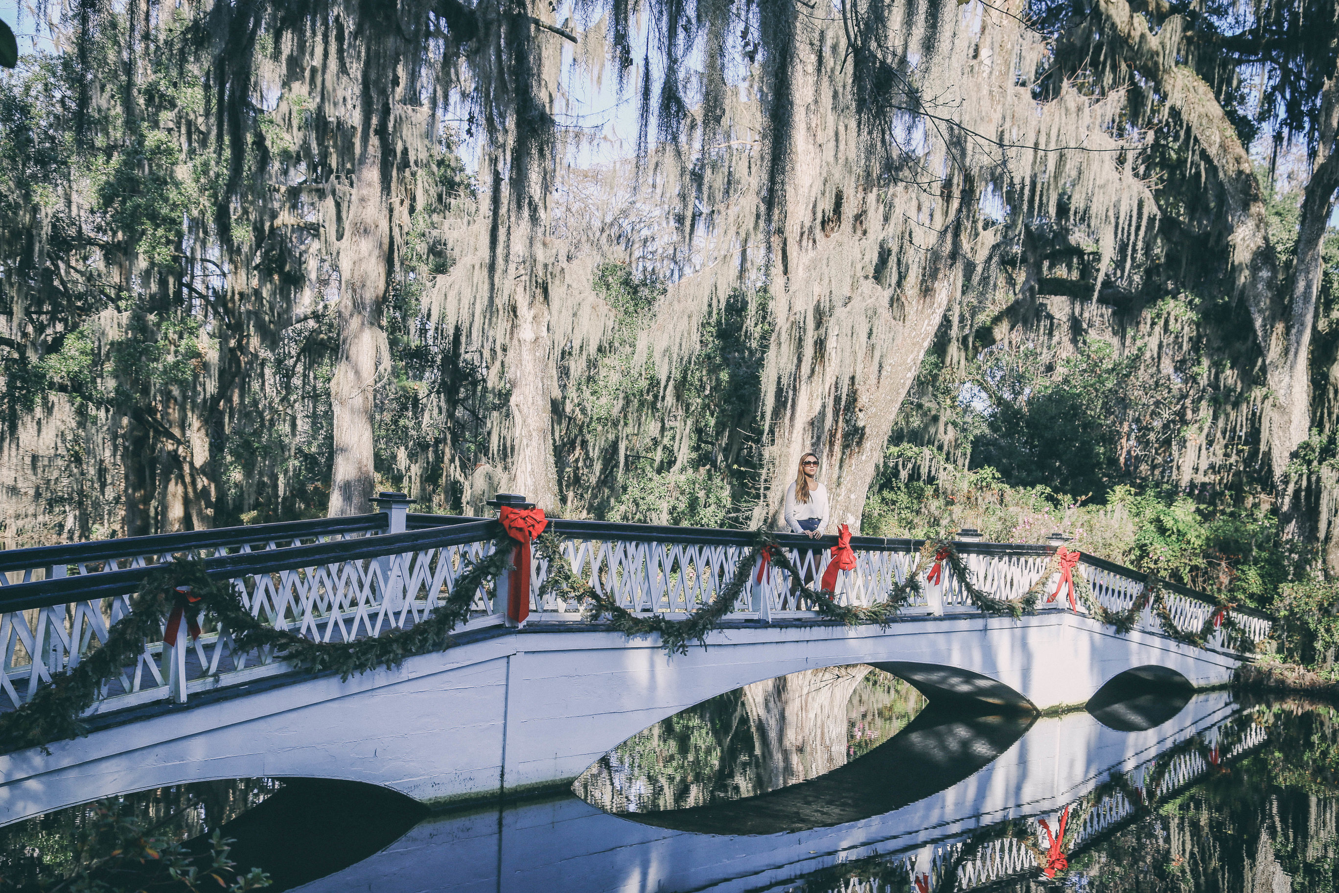 2 Plantations You Must Visit in Charleston | ZeebaLife