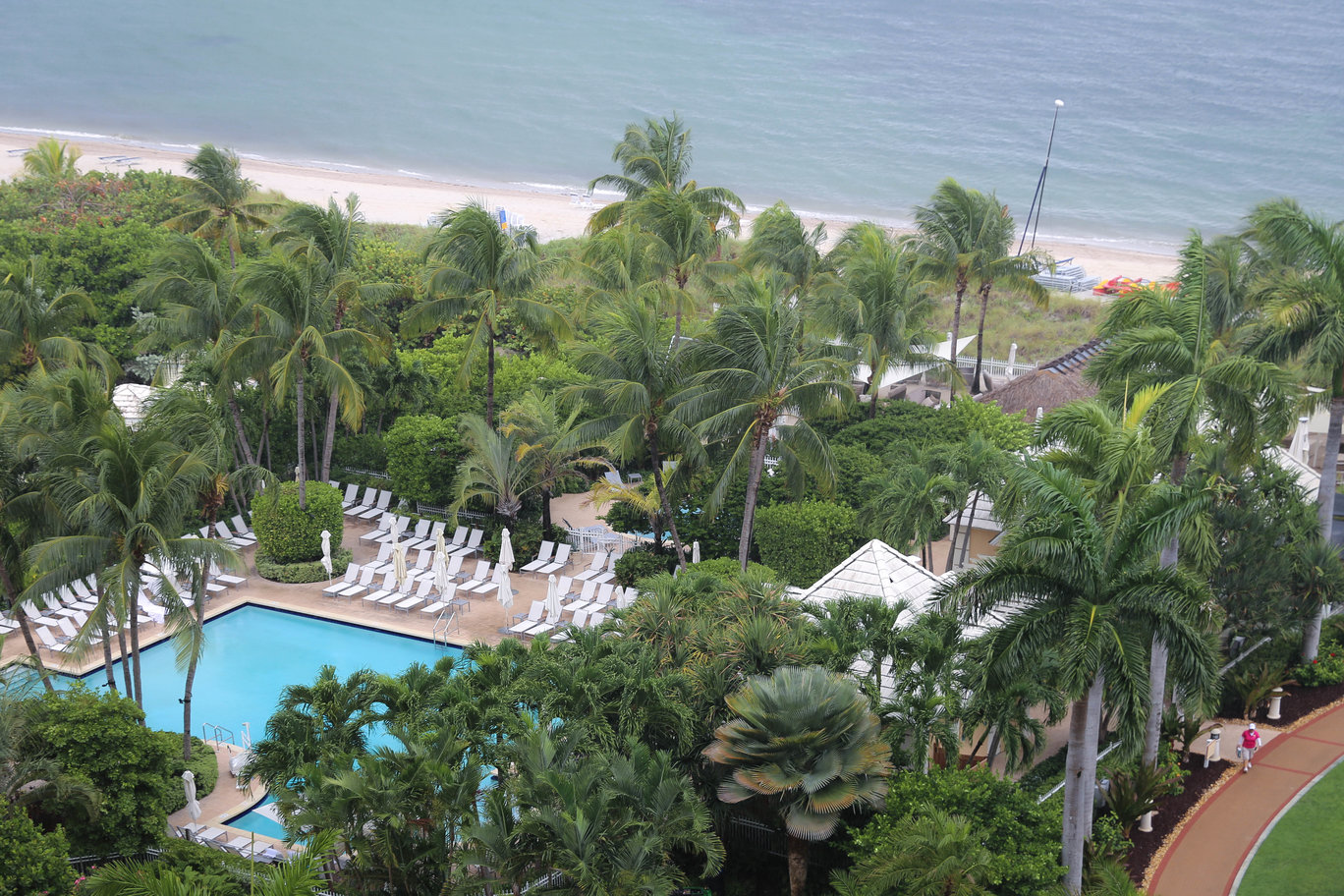 ritz carlton key biscayne pool